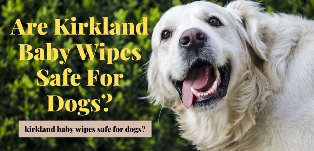 kirkland baby wipes safe for dogs